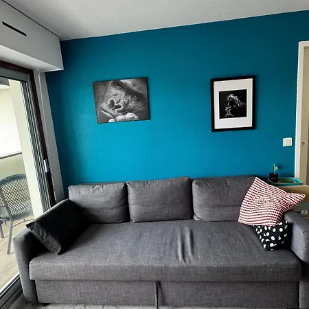Lumineux Avec Balcon Et Parking à - Fr-1-712-97